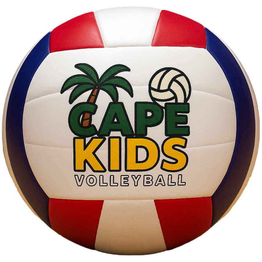 logo v3